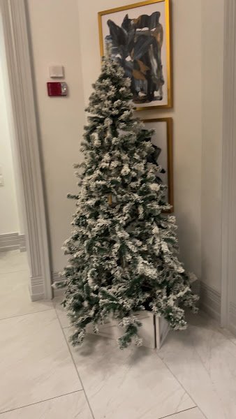 Olde Cypress - Image 2