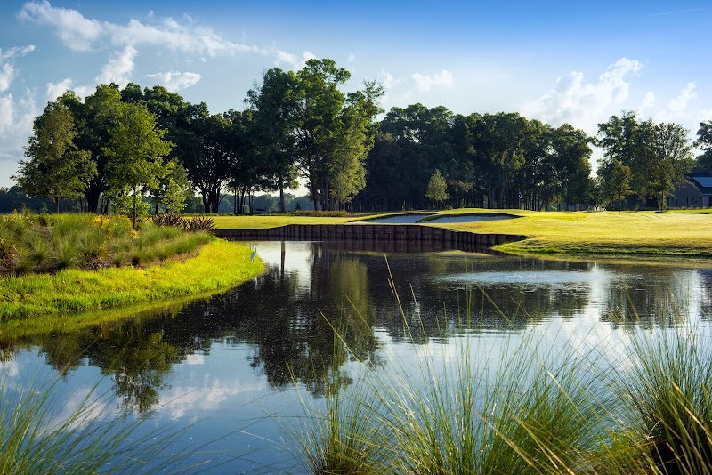 Ocala Preserve - Image 3