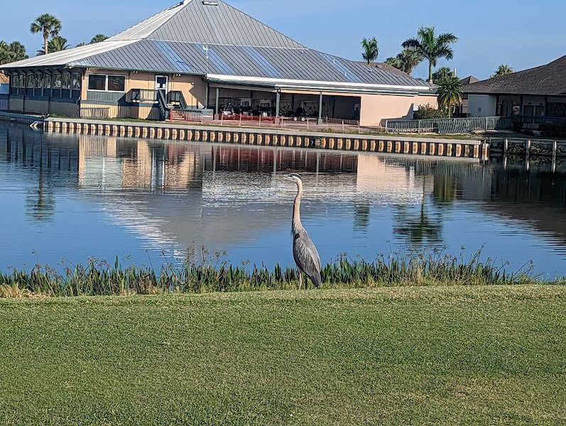 Maple Leaf Golf & Country Club - Image 3