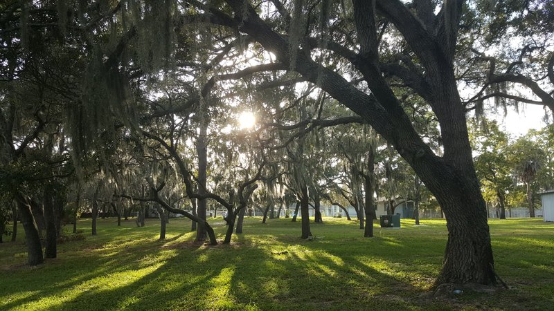 Delta Woods Park thumbnail