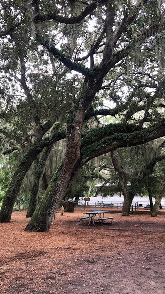 Ron Parker Park thumbnail