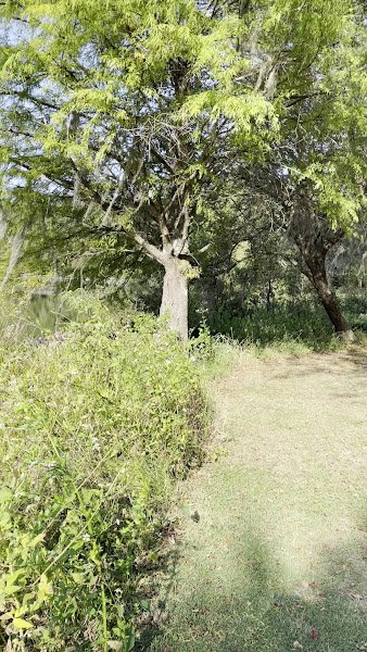 Tom Brown Park - Image 2