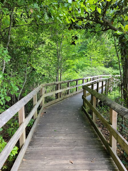 Tom Brown Park - Image 3