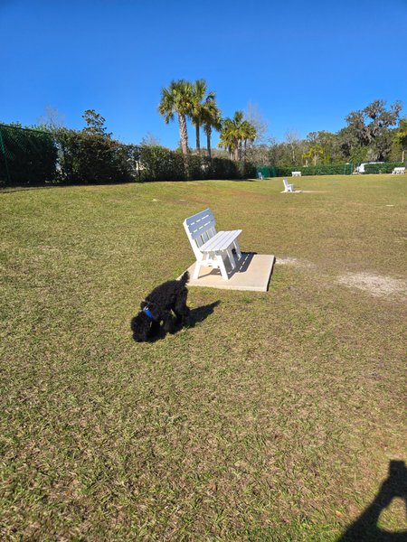 Ezell Regional Recreation Center thumbnail