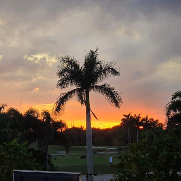 Wycliffe Golf & Country Club - Image 2