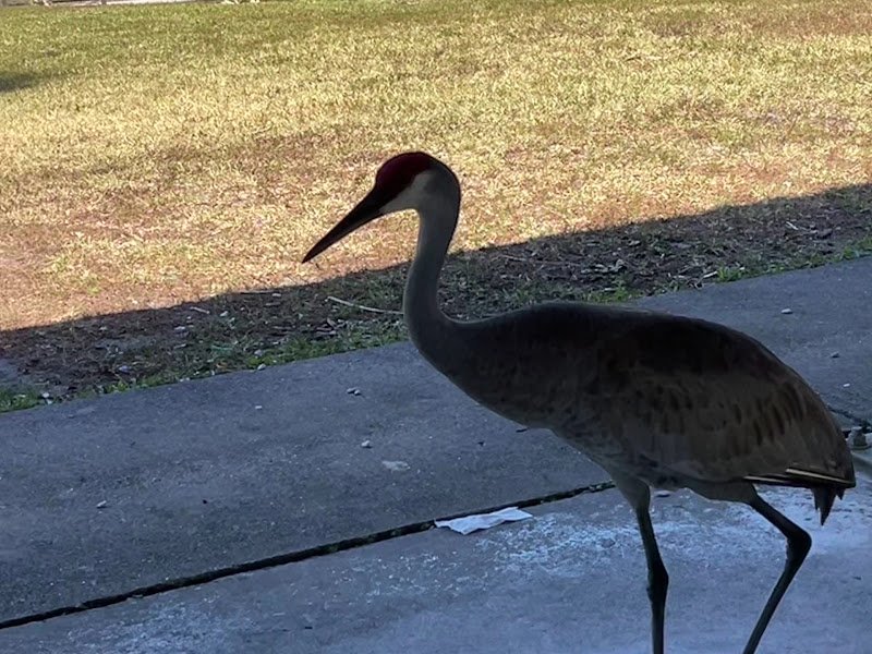 Okeeheelee Park - Image 2