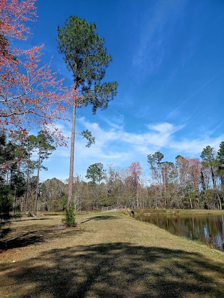 North Glynn Complex - Image 3