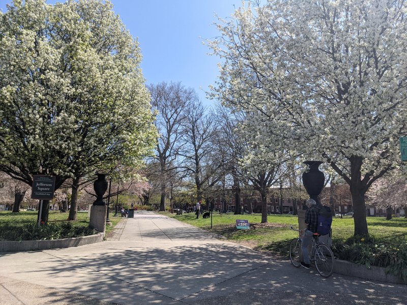 Jefferson Square thumbnail