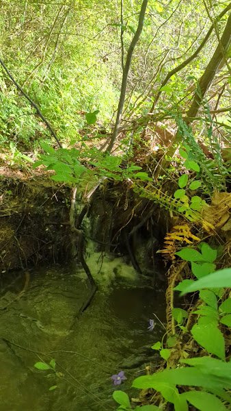 Rock Creek Park & Recreation - Image 2