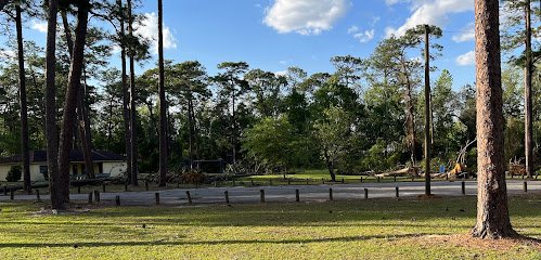 Balfour Park thumbnail