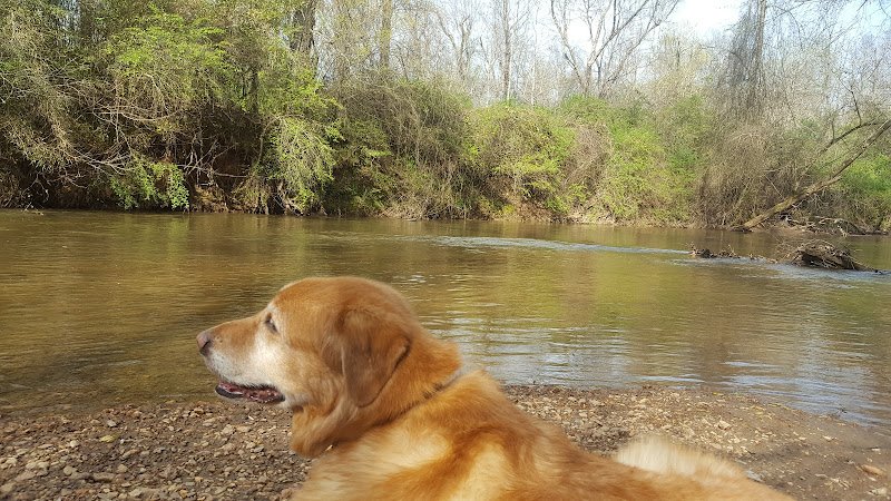 Woodlands Park - Image 3