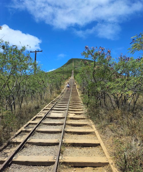 Kokohead Neighborhood Park thumbnail