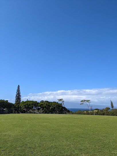 Napili Park thumbnail