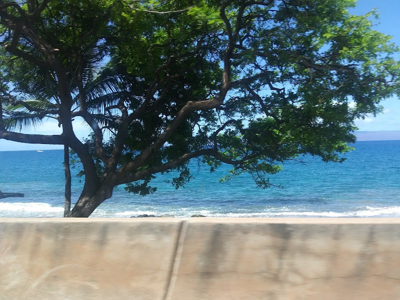 Lahaina Civic Center - Image 3