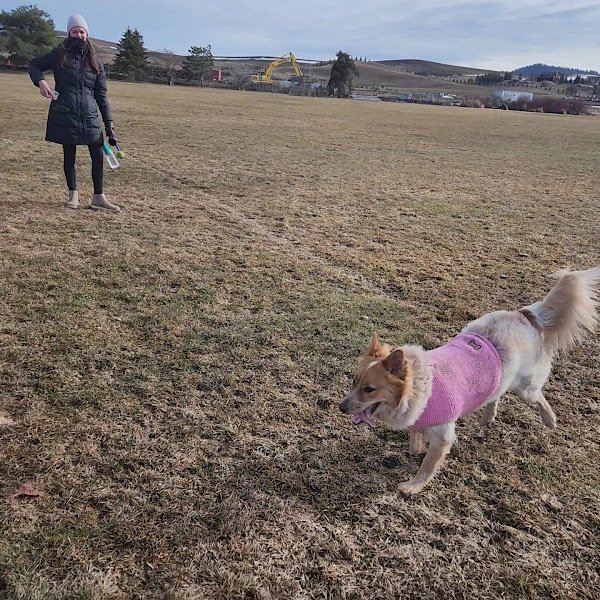 Mountain View Park - Image 2