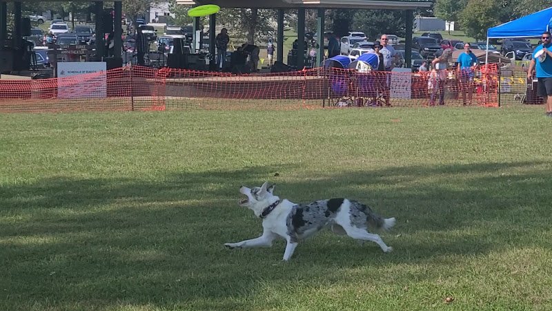 Chatham Community Park - Image 2