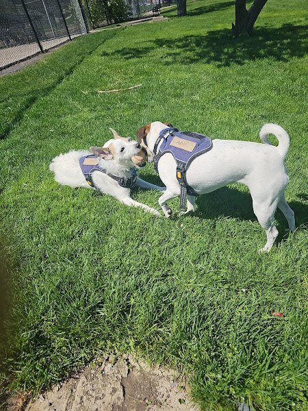 Warren Park Field House - Image 2
