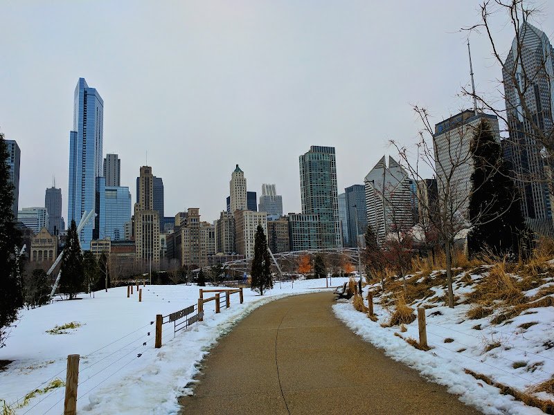 Maggie Daley Park - Image 3