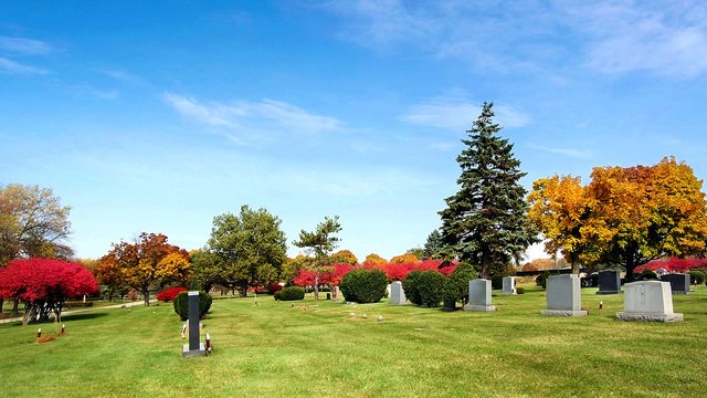 Memorial  Park thumbnail