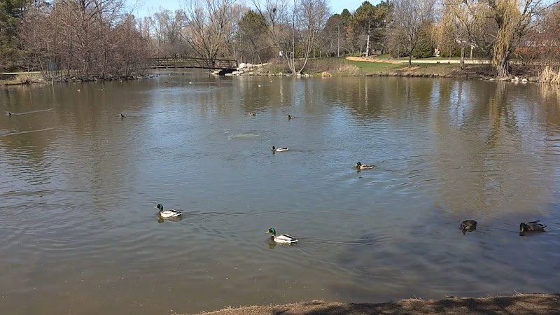 Flick Park - Image 2