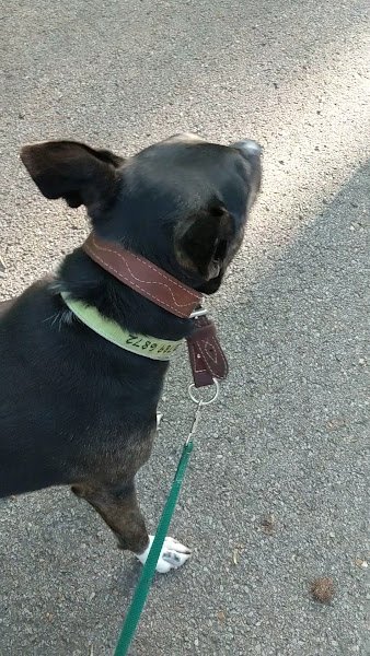 Wilson Park - Image 2