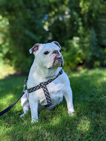 Deer Creek Racquet Club - Image 3