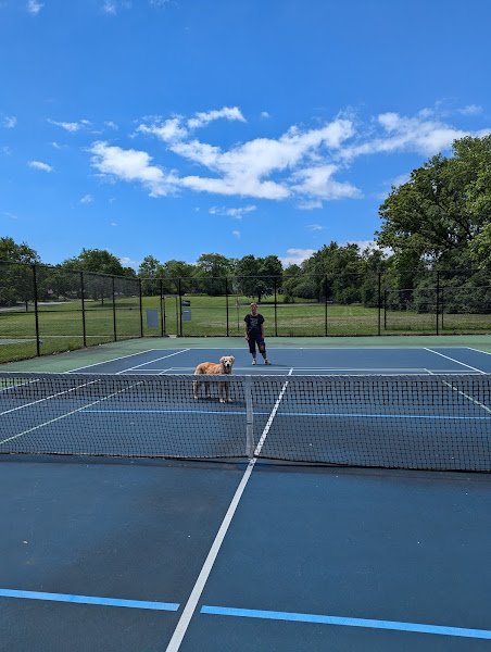 Old Elm Park thumbnail