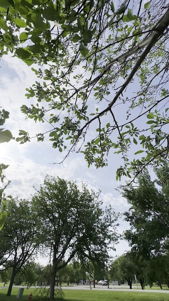 Ironwood Park - Image 2