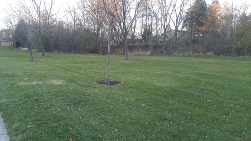 Locust Park thumbnail