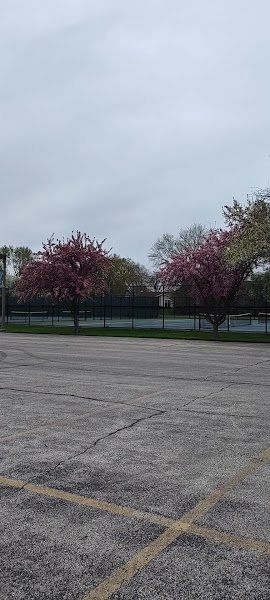 Pickleball Courts - Image 2