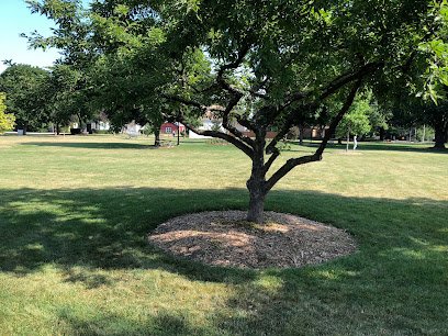 Chamber Park thumbnail