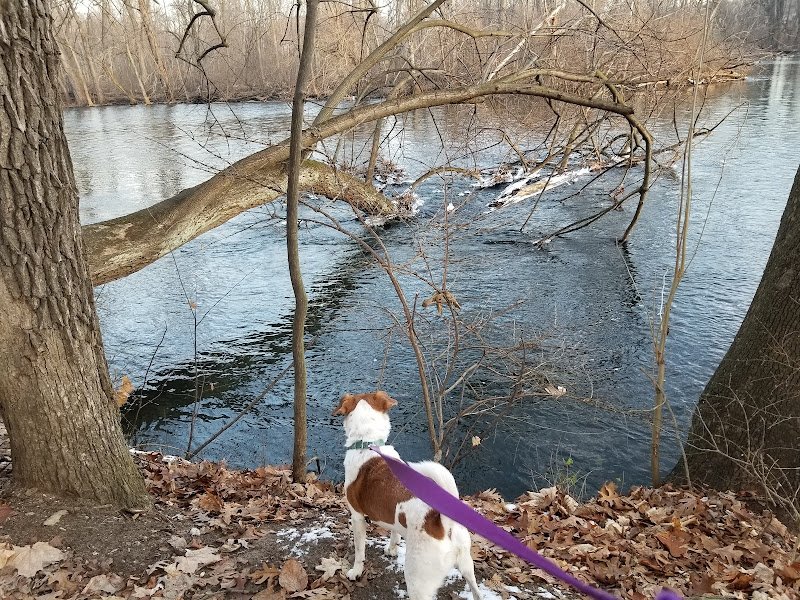 Cummins Park - Image 3