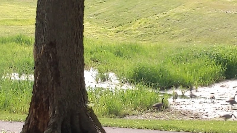 Craig Park - Image 2