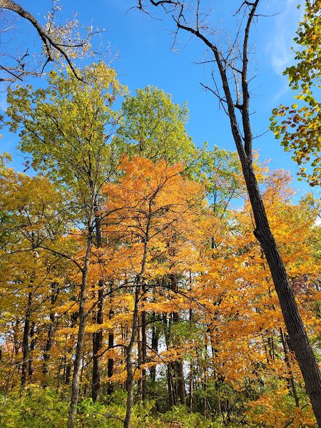 Lee Road Park thumbnail