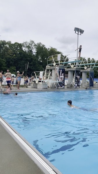 Forest Park - Image 2