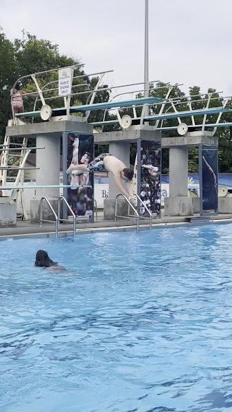 Forest Park - Image 3