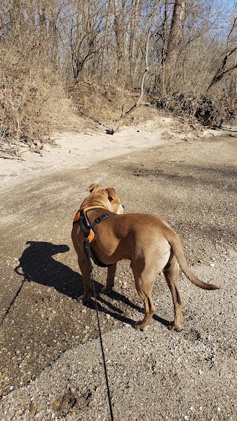 Lions Park - Image 2