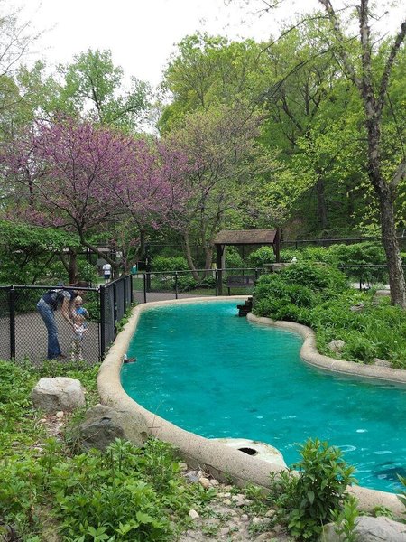 Bever Park thumbnail