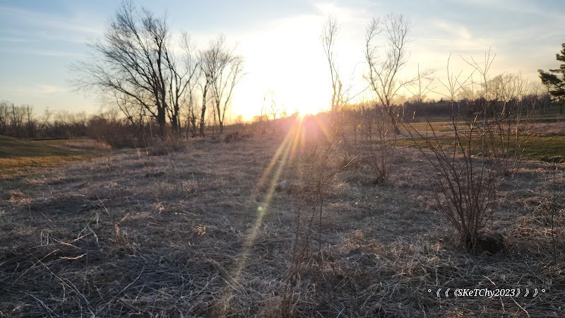Jones Park Pickleball Courts thumbnail