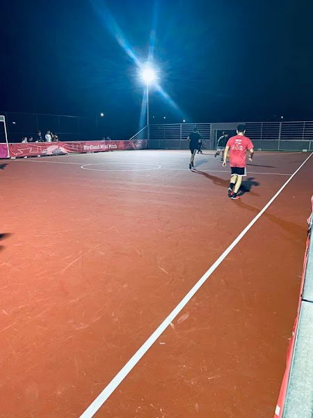 Birdland Sports Complex - Image 3