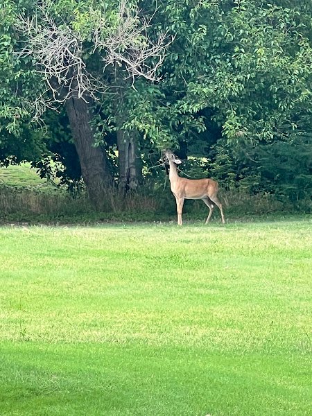 Rolling Hills Country Club - Image 3
