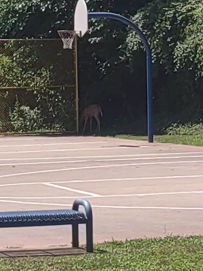 Swope Park - Image 2