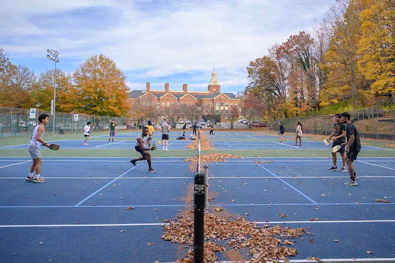 Berea Pickleball - Image 2