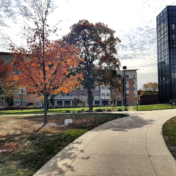 Bowling Green / F.O. Moxley Community Center - Image 2