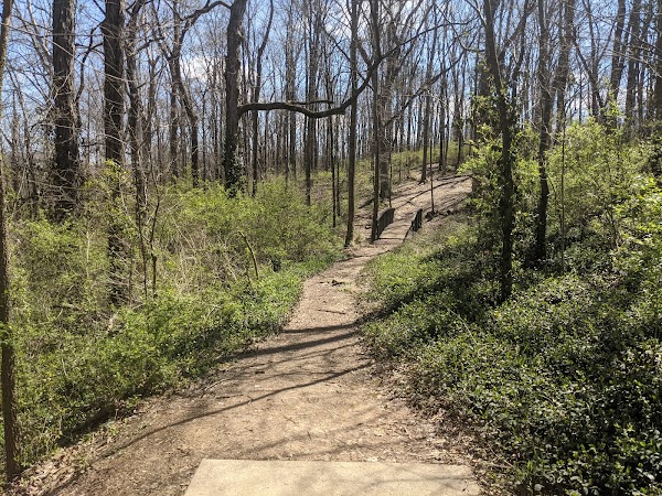 Preston Miller Park Disc Golf Course - Image 3