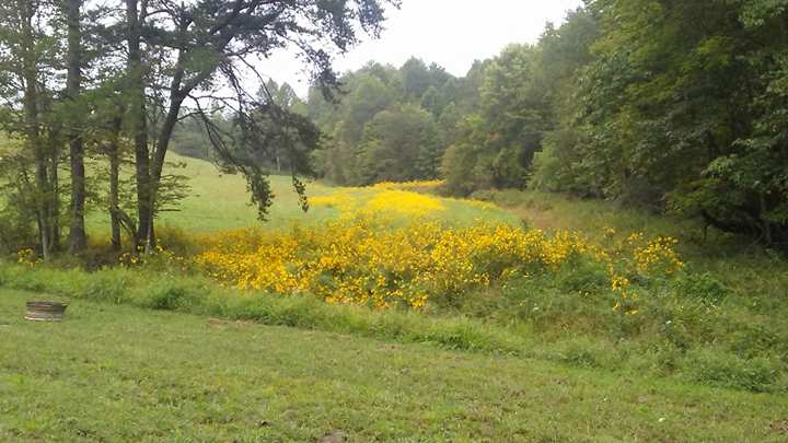 Land of the Arches Campground - Image 2