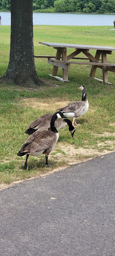 Freeman Lake Tennis Courts - Image 2
