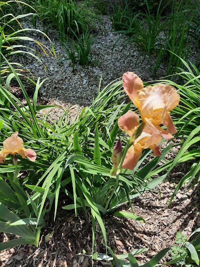 Elizabethtown Parks & Recreation Department - Image 2