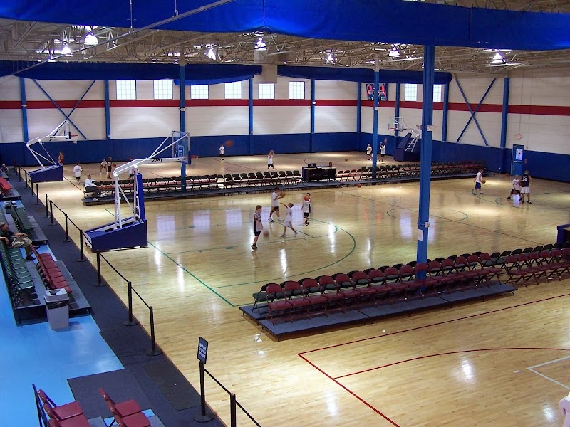 Sports Of All Sorts - Image 2