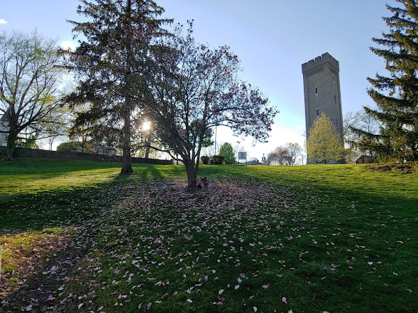 Tower Park thumbnail